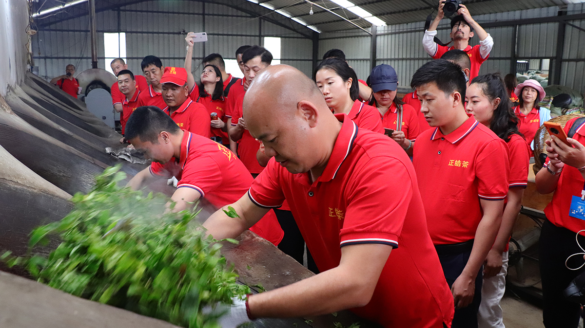 “皓品班章”热度逐渐走高？这市场表现有点不一样！