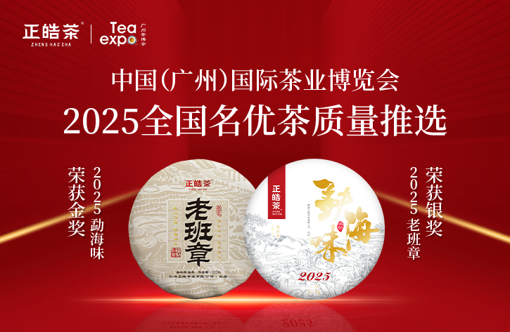 又又又又加冕！正皓茶再揽荣光，实力铸就高光瞬间!