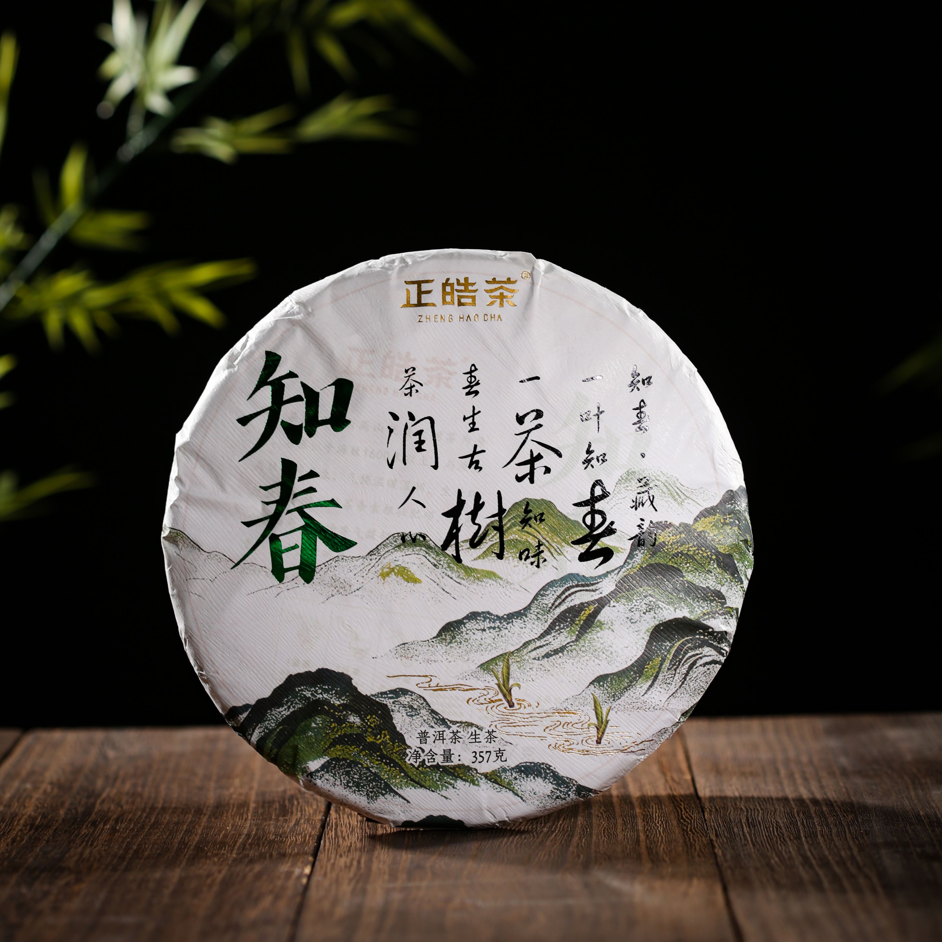 2026知春·普洱生茶
